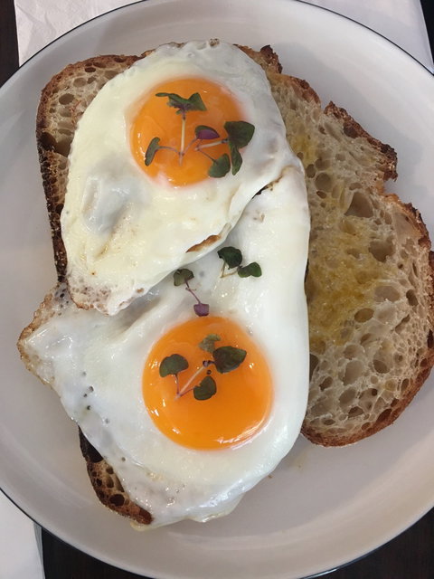 The Ponycat - Sunshine Coast Tourism 3