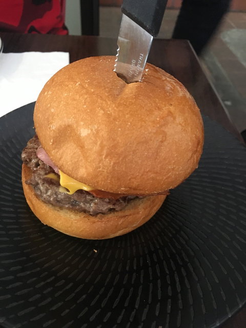 The Ponycat - Sunshine Coast Tourism 4