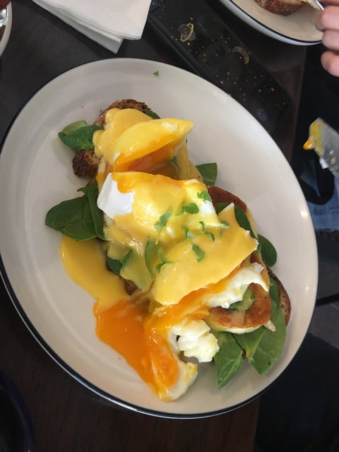 The Ponycat - Sunshine Coast Tourism 6