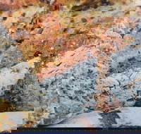 Lawley's Bakery Cafe - Holiday Sunshine Coast