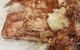 Apache Spur Steak & Grill - thumb 2