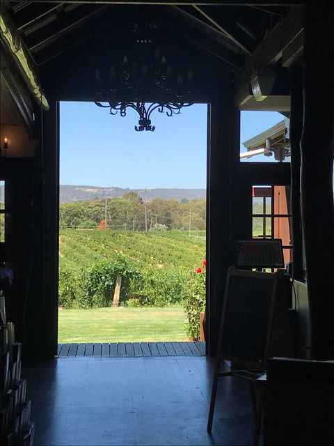 Black Swan Winery And Restaurant - Holiday Sunshine Coast 1