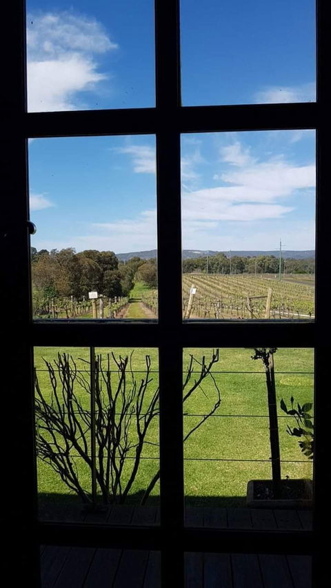 Black Swan Winery And Restaurant - Holiday Sunshine Coast 2