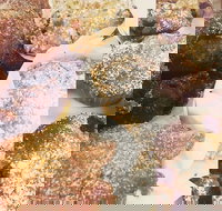 Little Lamonts - Sunshine Coast Tourism