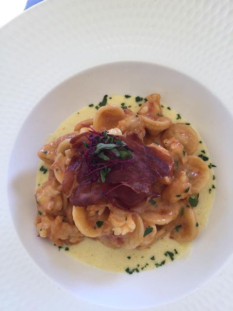 Pinelli Estate Winery Restaurant - Sunshine Coast Tourism 4