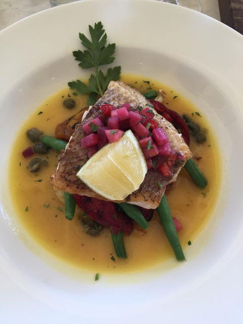Pinelli Estate Winery Restaurant - Sunshine Coast Tourism 5