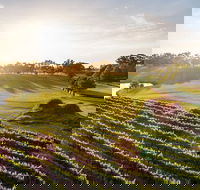 Sandalford Restaurant - Sunshine Coast Tourism