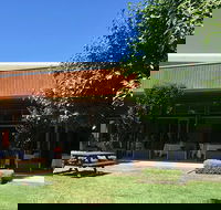 Wild Swan - Sunshine Coast Tourism