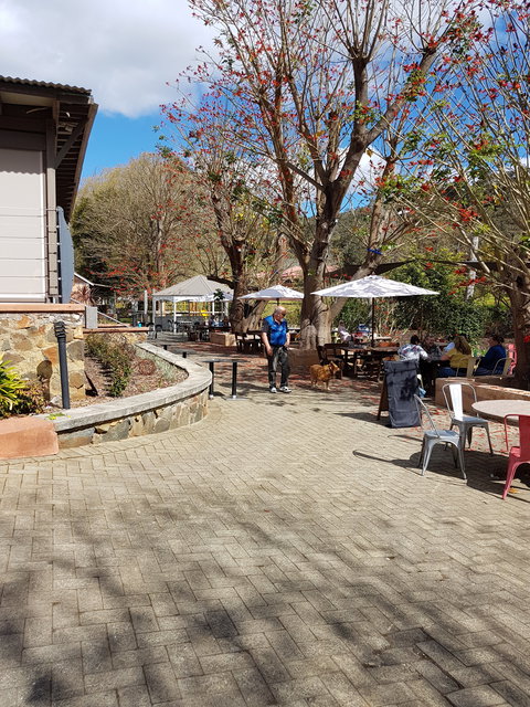 Avocados - Sunshine Coast Tourism 9