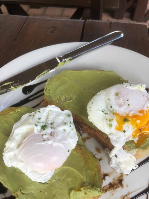 Avocados - Sunshine Coast Tourism 14