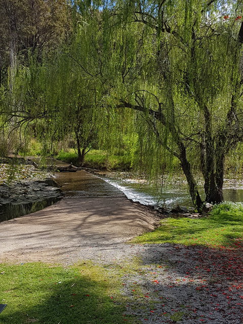 Avocados - Sunshine Coast Tourism 1