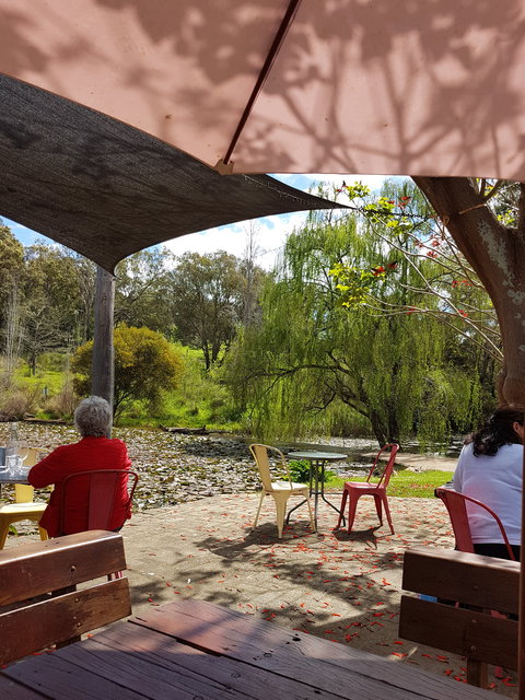 Avocados - Sunshine Coast Tourism 5