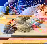 Kava Cafe - Sunshine Coast Tourism