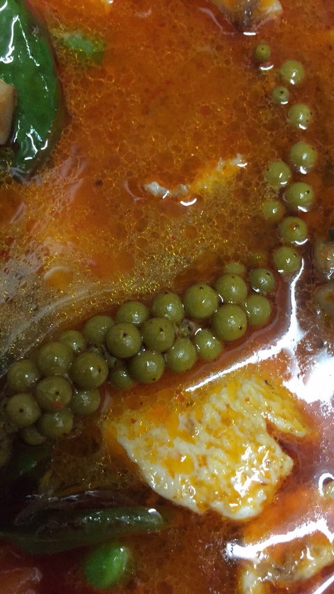 Thai Tae - Holiday Sunshine Coast 3