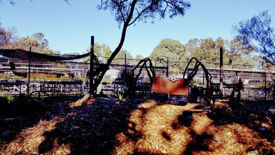 Hazelmere WA Sunshine Coast Tourism