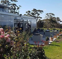 Castelli Vineyards - Sunshine Coast Tourism