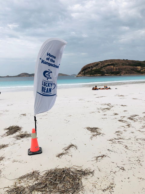 Lucky Bean - Sunshine Coast Tourism 1