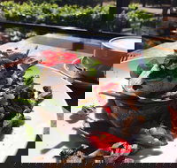 2Cafe - Sunshine Coast Tourism