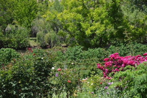 Berry Delightful - Holiday Sunshine Coast 0