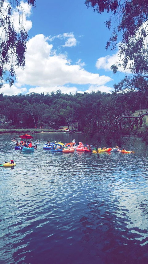 Berry Delightful - Holiday Sunshine Coast 1