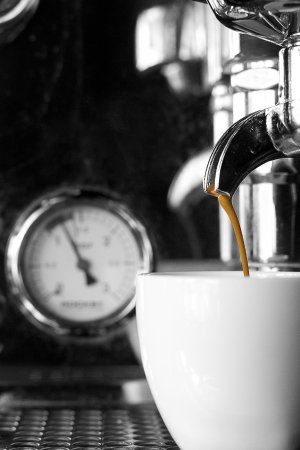 Blackwood Cafe - Holiday Sunshine Coast 0