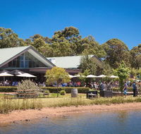 Cheeky Monkey Brewery and Cidery - Holiday Sunshine Coast