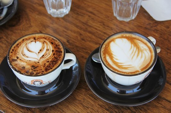 Success WA Sunshine Coast Tourism