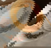 Dome - Sunshine Coast Tourism