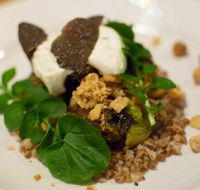Foragers - Sunshine Coast Tourism