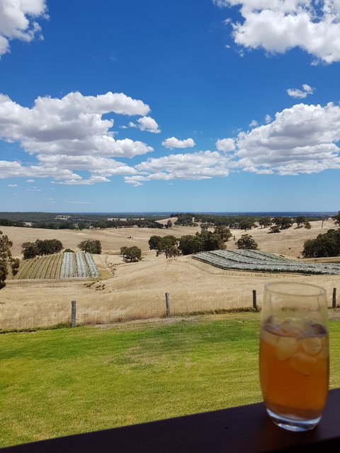 Green Door Winery & Cafe - Sunshine Coast Tourism 5