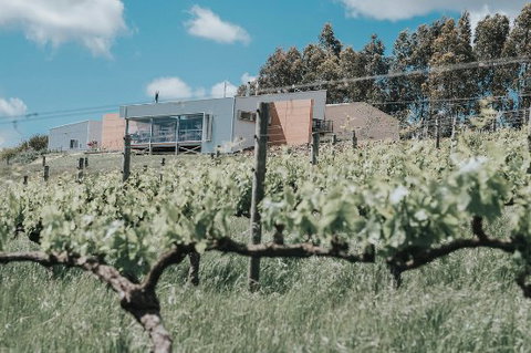 Green Door Winery & Cafe - Sunshine Coast Tourism 0