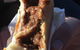 Kojonup Bakery - thumb 4