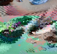 Perrella's - Sunshine Coast Tourism