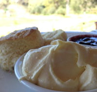 Tanglefoot Winery Cafe - Sunshine Coast Tourism