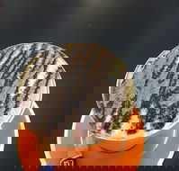 The Daily Grind Cafe - Sunshine Coast Tourism