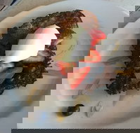 Whistling Kite - Sunshine Coast Tourism