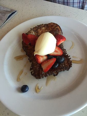 Whistling Kite - Sunshine Coast Tourism 0