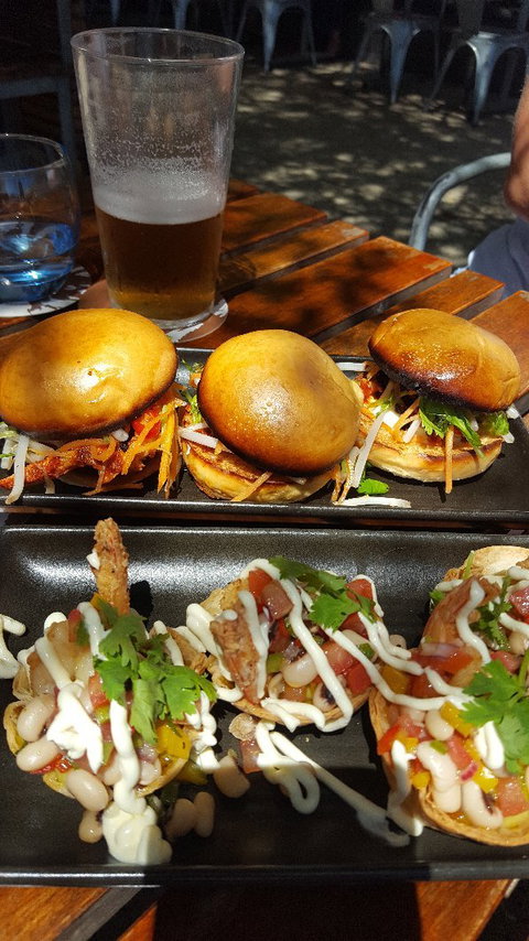 Whistling Kite - Sunshine Coast Tourism 3