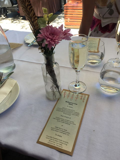 Whistling Kite - Sunshine Coast Tourism 4