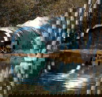 Boshack - Sunshine Coast Tourism