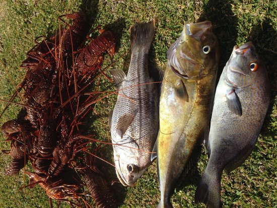 Breton Bay WA Sunshine Coast Tourism