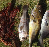 Ledge Point Country Club - Sunshine Coast Tourism