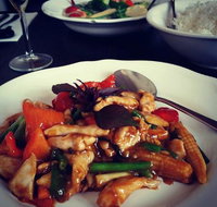 Urban Duck - Holiday Sunshine Coast