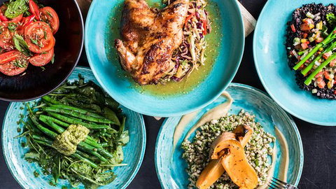 Black Bird - Holiday Sunshine Coast 0