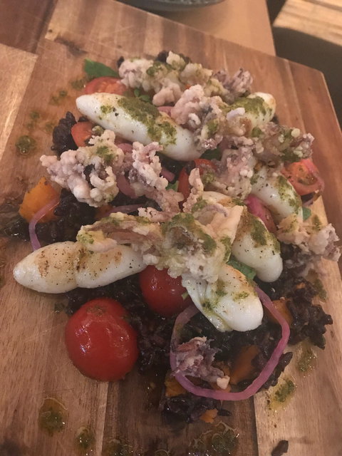 Black Bird - Holiday Sunshine Coast 2