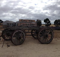 Emu Bay Lavender - Sunshine Coast Tourism