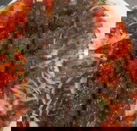 Jannah Charcoal Chicken - Sunshine Coast Tourism