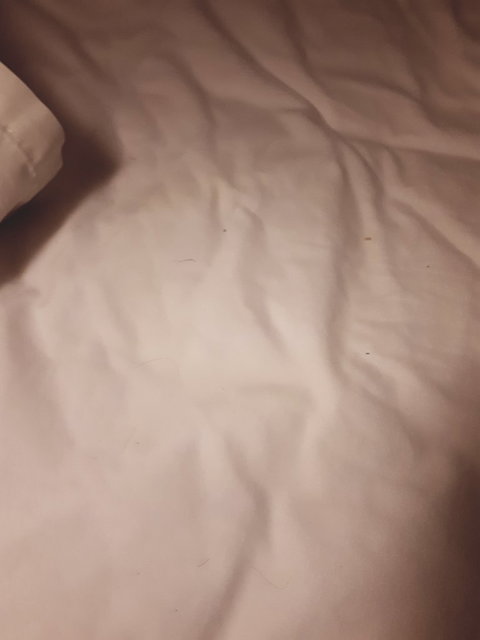 McCracken Country Club Restaurant - Sunshine Coast Tourism 10