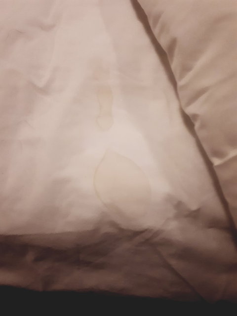 McCracken Country Club Restaurant - Sunshine Coast Tourism 12