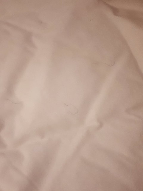 McCracken Country Club Restaurant - Sunshine Coast Tourism 2